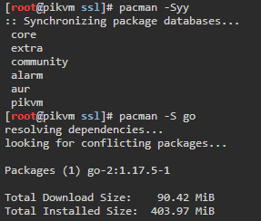 pacman-go