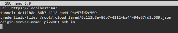 tunnel config