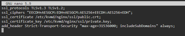 nginx config